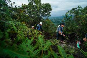 BIB: 
                            <button type="button" onclick="openModal(26196506)" class="btn btn-primary btn-sm float-right btn-popup" data-toggle="modal" data-target=".modal-high-quality">
                        <i class="fas fa-shopping-cart"></i> Add to Cart
                    </button>
                                            <button type="button" onclick="isThisMe(26196506, true)" class="btn btn-success btn-sm float-right btn-popup btn-isme hidden" data-toggle="tooltip" data-placement="bottom" title="นี่คือรูปของคุณใช่ไหม คลิกที่นี่เพื่อเอาเข้าอัลบั้ม">
                        <i class="fas fa-plus"></i> Add to album
                    </button>
                    <button type="button" onclick="isThisMe(26196506, false)" class="btn btn-warning btn-sm float-right btn-popup btn-isnotme hidden">
                        <i class="fas fa-ban"></i> Remove from album
                    </button>